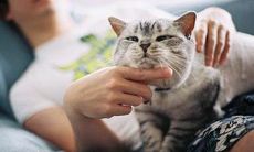 搞怪搞笑网名 有内涵的网名大全