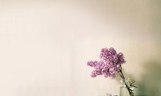 2016最新唯美小清新网名