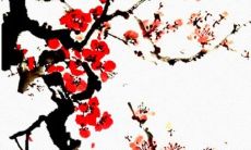 1963年2月13号什么星座