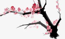 父姓邢母姓姚的女孩名字