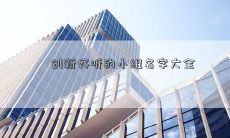 创新好听的小组名字大全