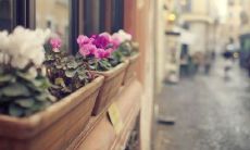 经典好听的QQ网名大全