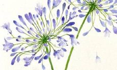 容字和什么字搭配好听 精选男孩名字大全