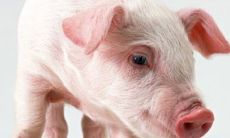 贤字取名女孩名字寓意