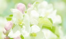 2016最新微信名一个字好听的昵称