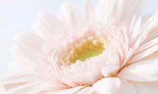 简单有意义的网名大全