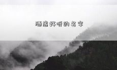 洒店好听的名字