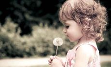 姓杨以“菁”字开头的女孩有诗意的名字有哪些