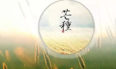 2020年芒种节气出生男孩五行缺金大气起名