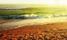 清新文艺风的网名大全