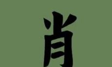 肖姓的女孩子名字大全