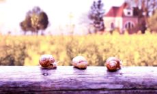 简洁个性的网名大全 简约网名大全