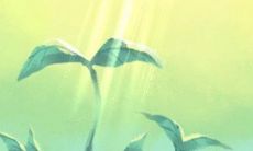 大气吉祥的公司名称推荐