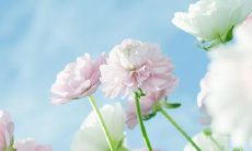 2016最新个性搞怪微信名