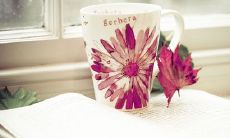 带符号的网名大全