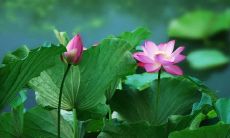 大气吉祥男孩名字推荐