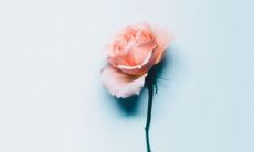 可爱的QQ网名大全