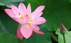 大气吉祥的男孩名字怎么取名？