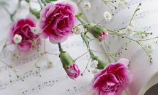 2016精选男生帅气的微信名字