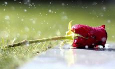 2016年男女优秀听最受欢迎的微信名字