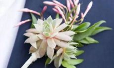 太过耿直 容易把天聊死的星座