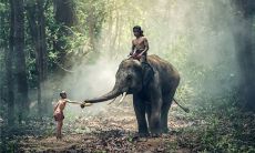 如何给男孩子起优雅好听的名字