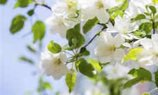 带英文的网名大全