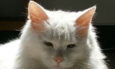 好听又霸气的网名 最酷最霸气的网名大全