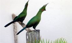 2019年游戏情侣名字大全