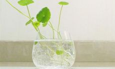 男生成熟稳重网名 大气成熟的网名