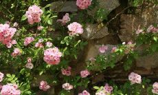 好看好听的网名 个性好听的网名大全