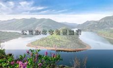 公司取名字免费查询