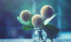 小清新网名大全 清新脱俗的网名