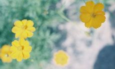 有内涵的网名大全