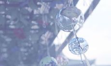 最新文艺小清新网名大全 适合女生的小清新网名