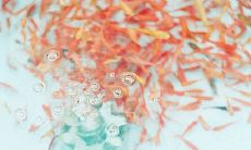 英文小清新网名大全 唯美英文网名大全