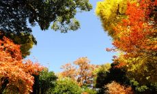 2020年农历闰四月二十日女孩五行缺木名字