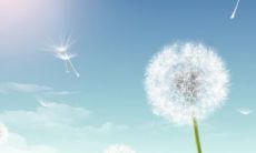 五行缺火的男孩名字 缺火男孩名字简单大气