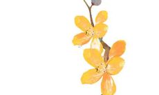 复姓有哪些好听的名字