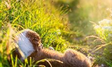 2020年农历腊月二十五出生的男孩缺火取名霸气名字！