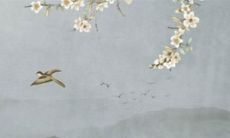 大气知性的星座女