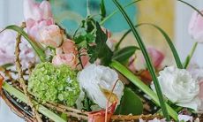 摩羯座与白羊座配对