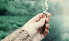 好听的中文名字取名大全