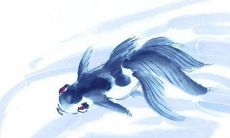 2022年阳历6月出生的宝宝