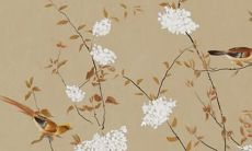 属兔本命年好不好