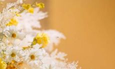 白羊座配对分数表