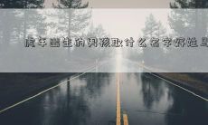 虎年出生的男孩取什么名字好姓马
