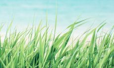 2020年农历五月二十九日出生的女孩起名 好听的名字取名大全