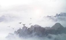 属马2023年运程与运势