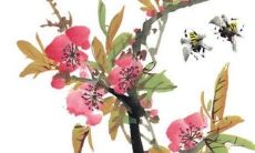 2023的属牛人的运势